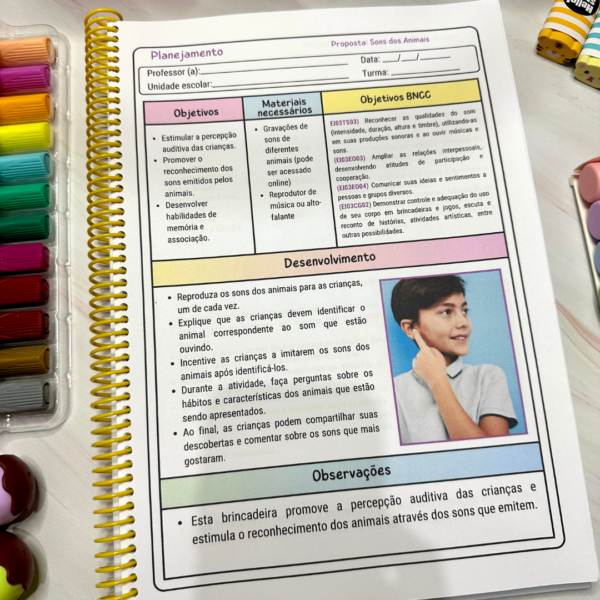 Coletânea 90 planejamentos  Lúdicos para a Pré-escola - Image 4