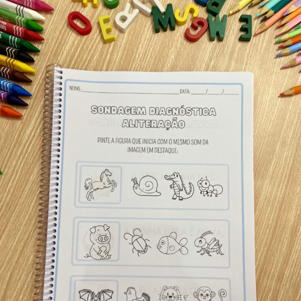 Diagnósticas Alfabetização - Image 12