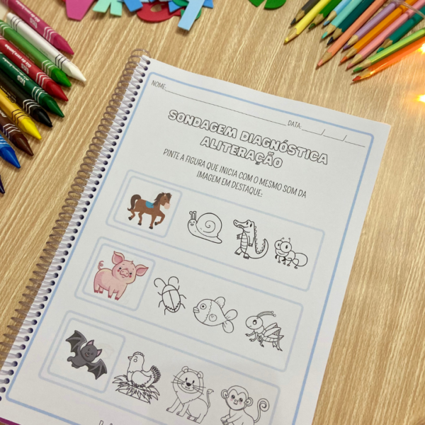 Diagnósticas Alfabetização - Image 14