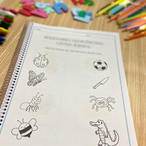 Diagnósticas Alfabetização - Image 15