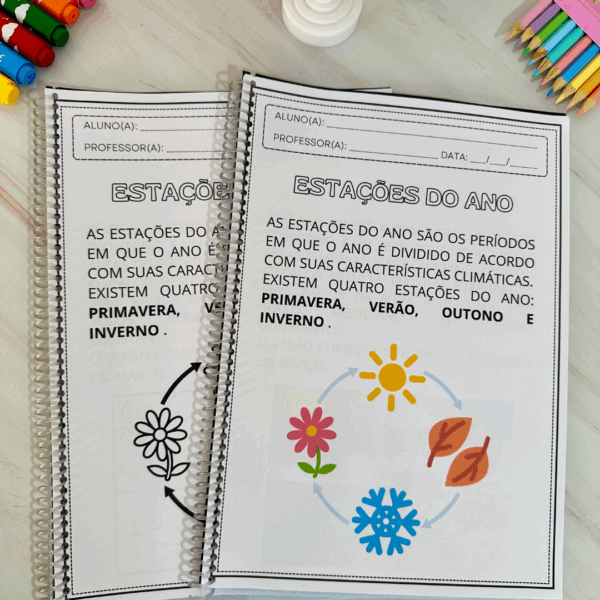 APOSTILA DE ATIVIDADES – ESTAÇÕES DO ANO - Imagem 5