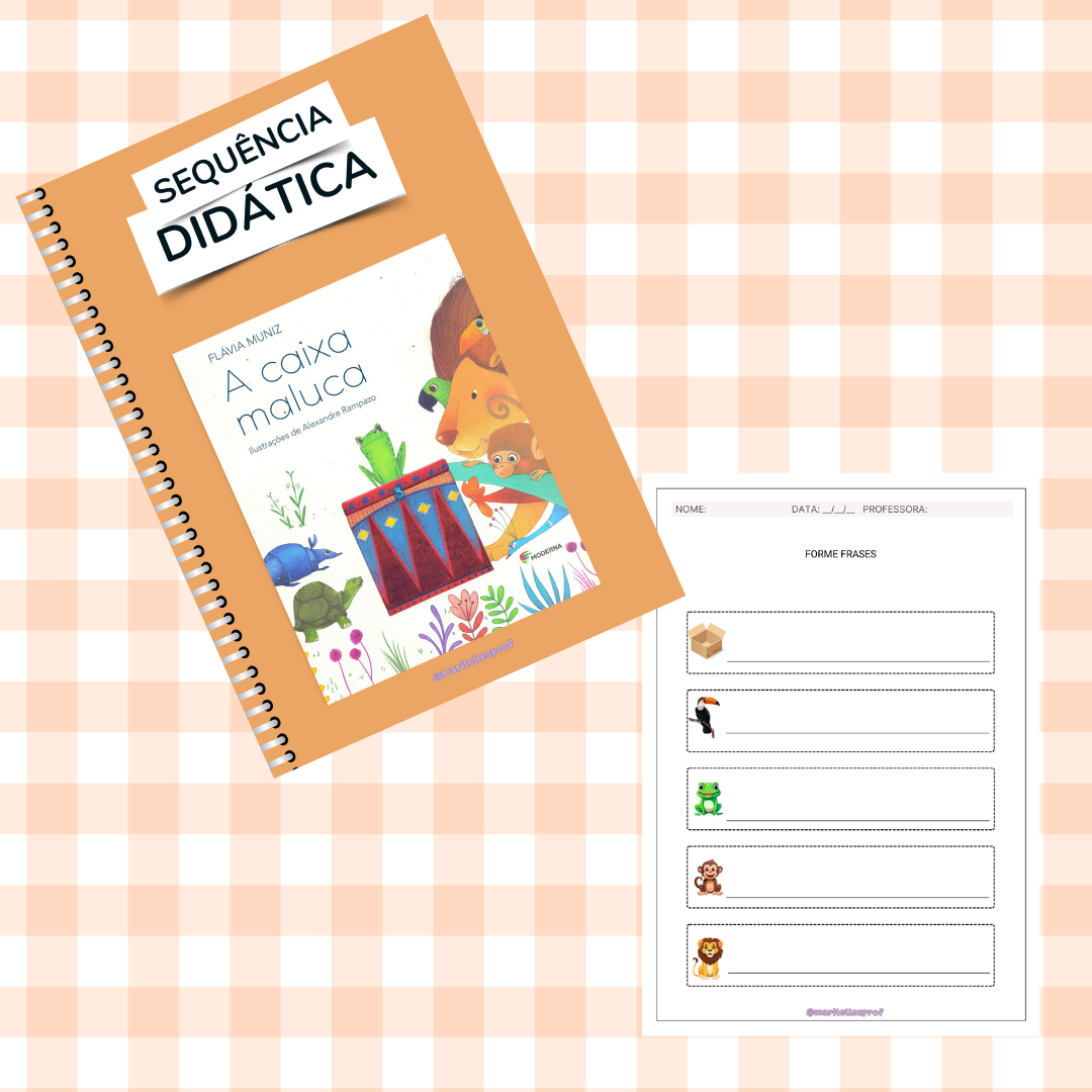 Sequência Didática A Caixa Maluca